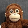 pingpong1901's profile picture