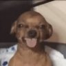 wewez 的头像