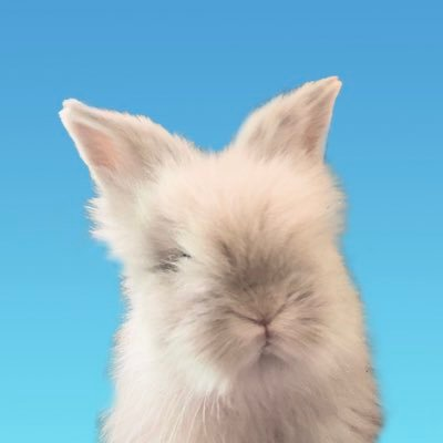 pochikun0115's profile picture
