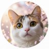 Profilbild von valentdollar (발랑)