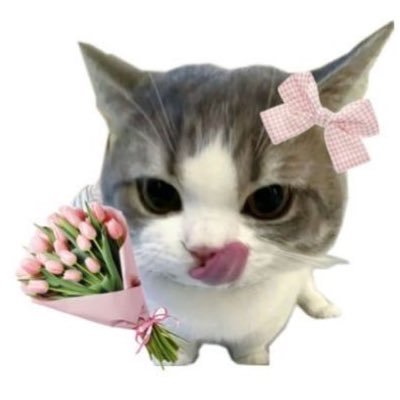 onceuponakiki's profile picture