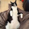 ソマジロウ profil fotoğrafı