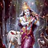 Raja Hinduvadi 🚩 的头像