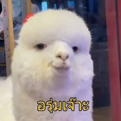 30 April ✨️ ลัทธิน้องลูกเอส's profile picture