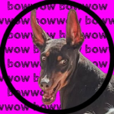60ww0w_6a3's profile picture