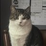 Profilbild von Billy