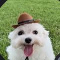 PurpPulse's profile picture