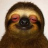 Profilbild von Willy_Sr