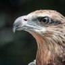 Veracocha profil fotoğrafı