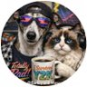 Barkly 🐶 & Mew 🐱 profil fotoğrafı