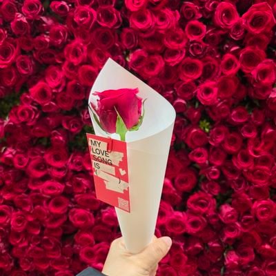 허어느날🌹이말했다⁷'s profile picture