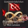 Profilbild von Tolga Bursa