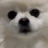 AzureSky's profile picture