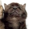 Profilbild von *