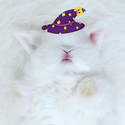 🐰ʙᴜɴɴʏ_ʀʙ🐰's profile picture