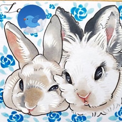 Lapuchoby's profile picture