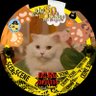 PhoenixCat 🍔 (In𝕂𝕒𝕟𝕥ation) 🇨🇴 的头像