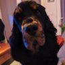 Profilbild von Nadia ๐จ๐ต