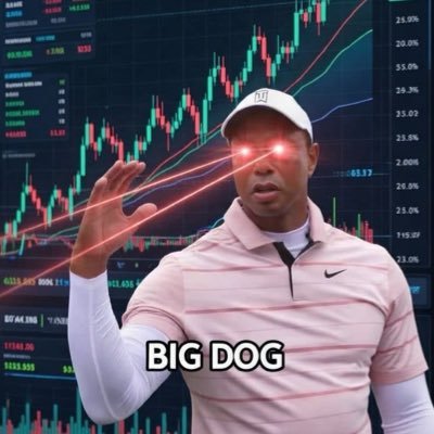 Dustin Taylor ⌚️'s profile picture