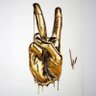 Scipaw's profile picture
