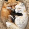 Lady FoxTat, be true to self, learn and evolve. 🥰 profil fotoğrafı