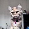 Фото профиля Rekomendasi Shopee Food