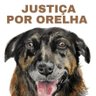PATRIOTA🇧🇷's profile picture