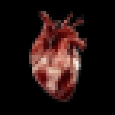 Vanitas0Vanitas's profile picture