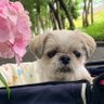 みかちゃん's profile picture