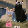 fran + cleo โค๏ธ's profile picture