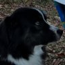 fetachini's profile picture