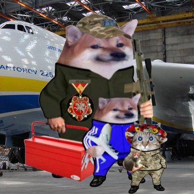 𝑭𝒖𝒓𝒓_𝒊𝒐𝒖𝒔_Фелла 🇺🇦🕸🇮🇱 📟 🇬🇪 #NAFO's profile picture