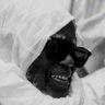 Profilbild von ABDOU SALAM🇸🇳🏁