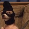 Profilbild von Major Crack