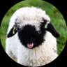 schaapje（スハーペェ） profil fotoğrafı