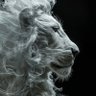 🦁 profil fotoğrafı