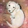 まぁも🤍⚔️🤫タケ狂's profile picture