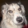 Profilbild von moon
