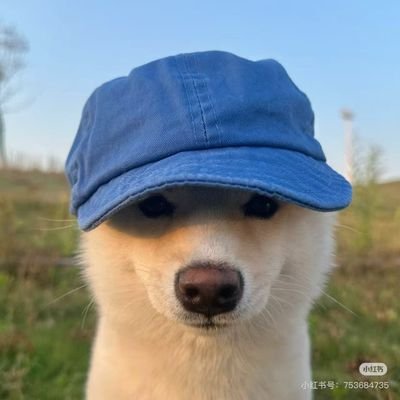 Yolo_Gpp's profile picture
