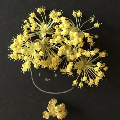 결명자's profile picture