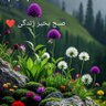 hamna khalid's profile picture
