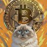 卖房加仓:离上班还有X天's profile picture