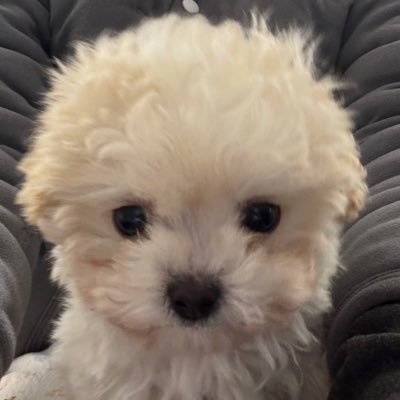 준식's profile picture