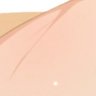 こん's profile picture