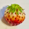 Profilbild von いちご🍓