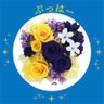 むっちゃんwithキャラメル's profile picture
