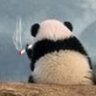 Hexx ./'s profile picture