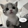 兑兑ovo profil fotoğrafı