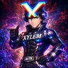 エックス~XYLEM FITNESS's profile picture