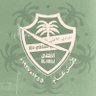 حمتو النخبوي💚🤍🏆 的头像